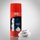 Gillette Regular Foam 418 g