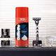 Gillette Regular Foam 418 g