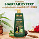 Kesh King Ayurvedic Anti Hairfall Shampoo 600 ml